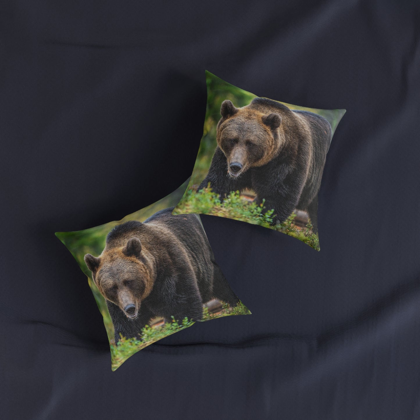 Brown Bear