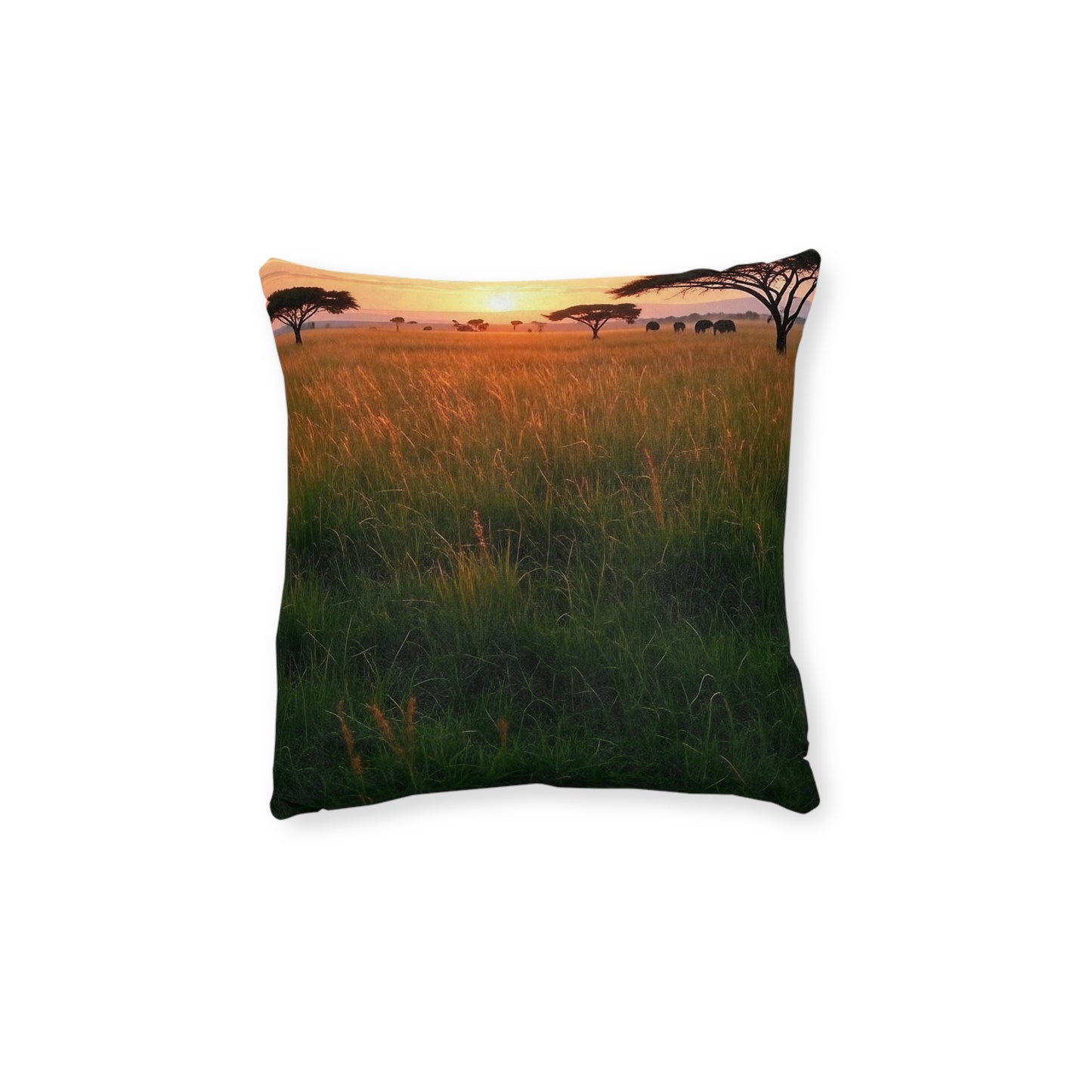 Savanna