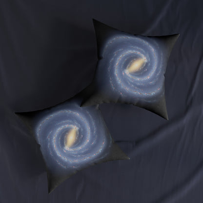 The Milky Way Galaxy
