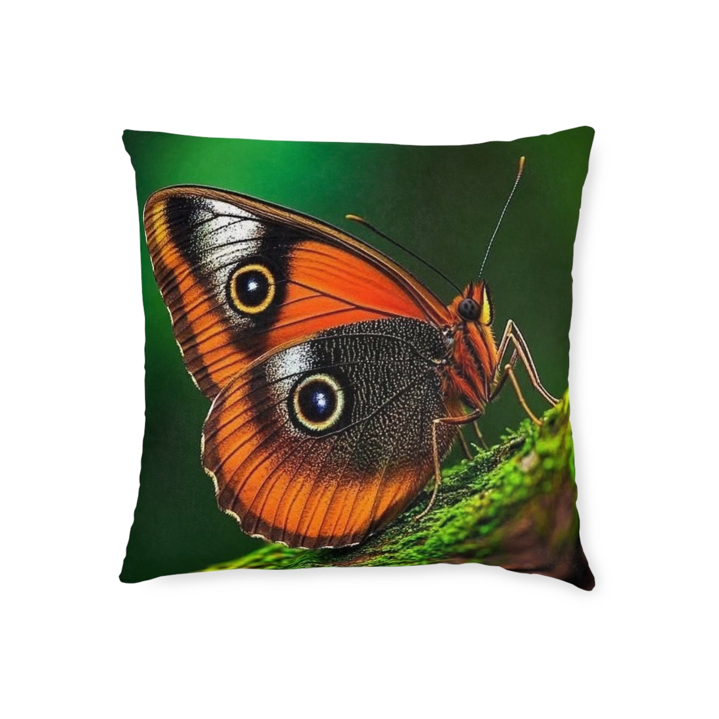 Butterfly Orange