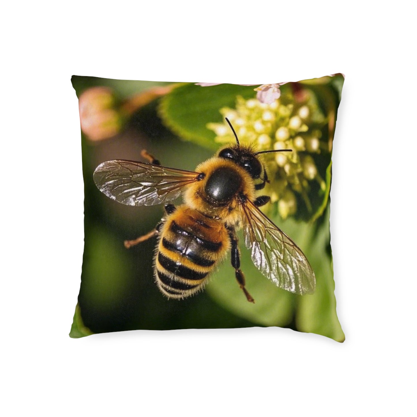 Honey Bee