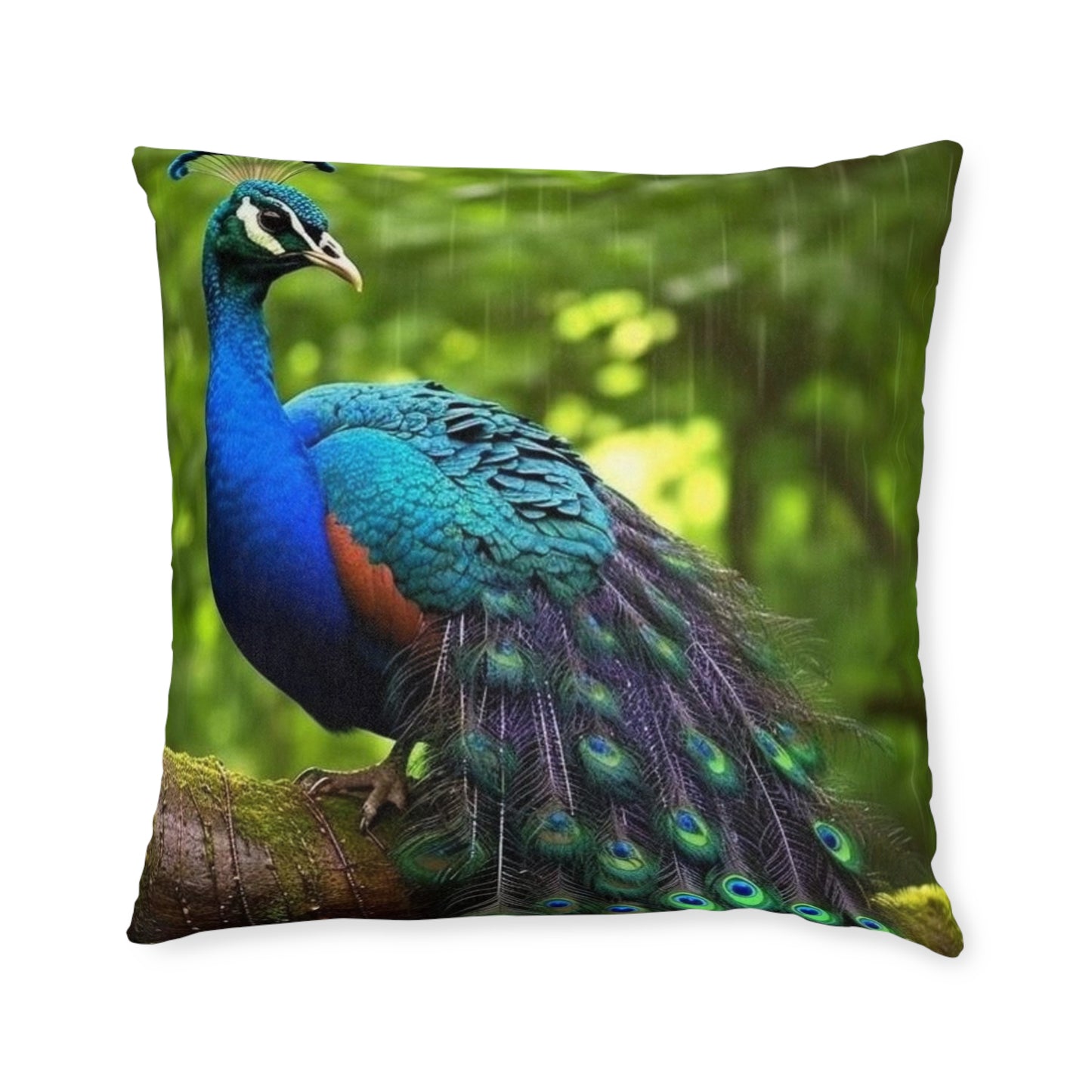 Peacock