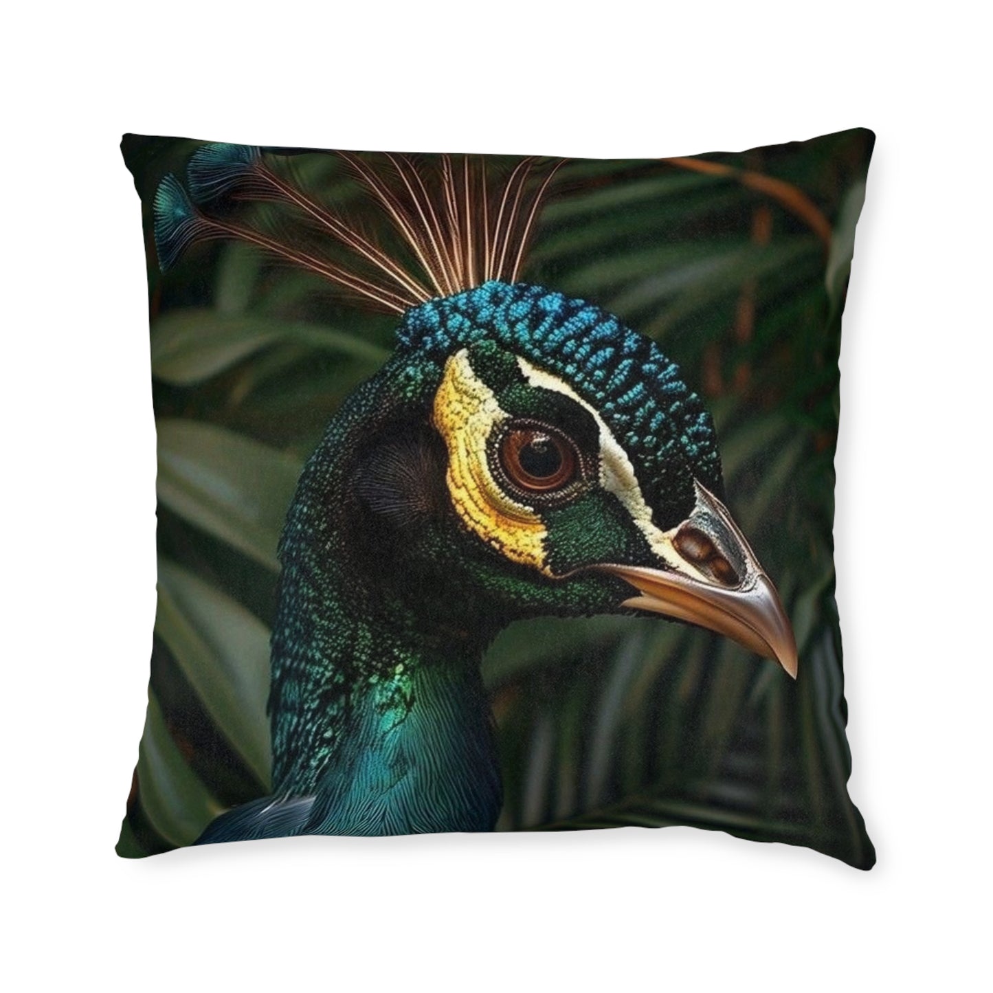 Peacock 2