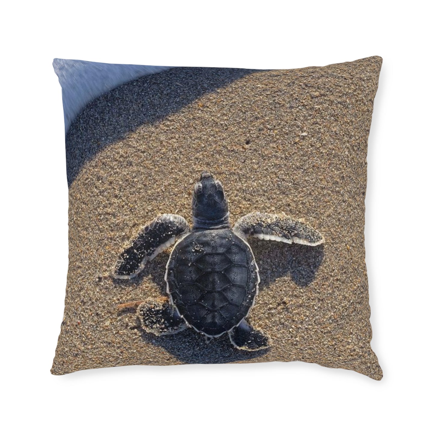 Baby Sea Turtle
