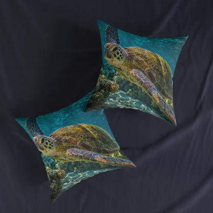 Sea Turtle 2