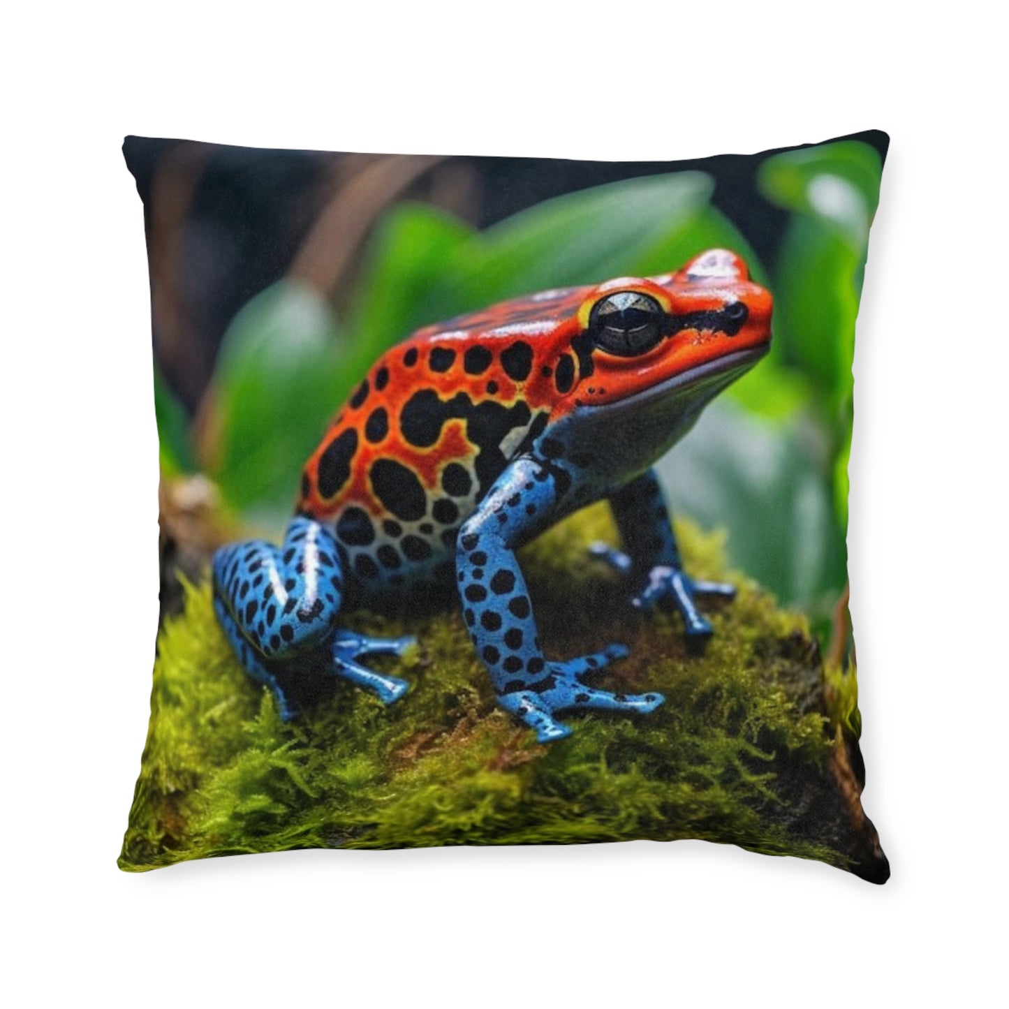 Poison Dart Frog