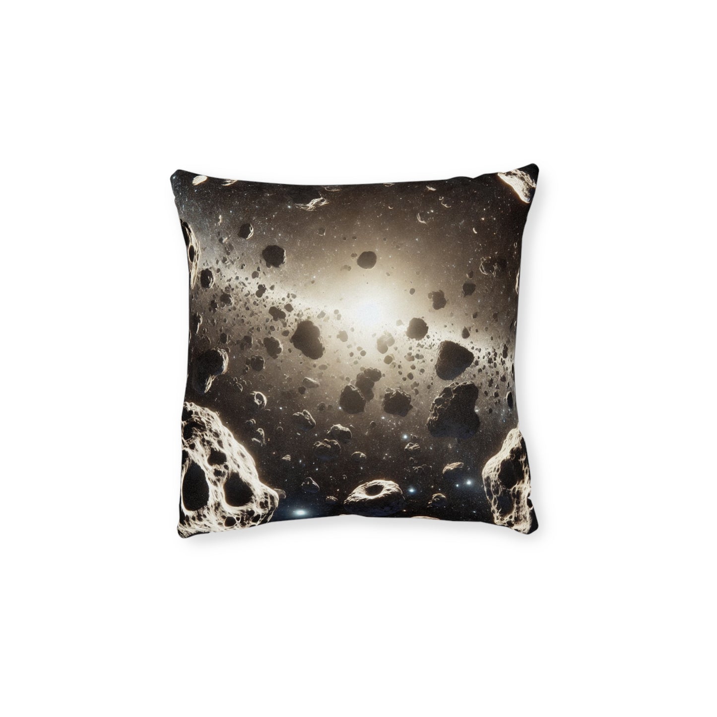 The Asteroid Belt