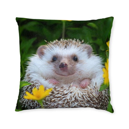 Hedgehog