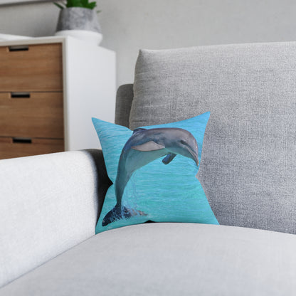Dolphin