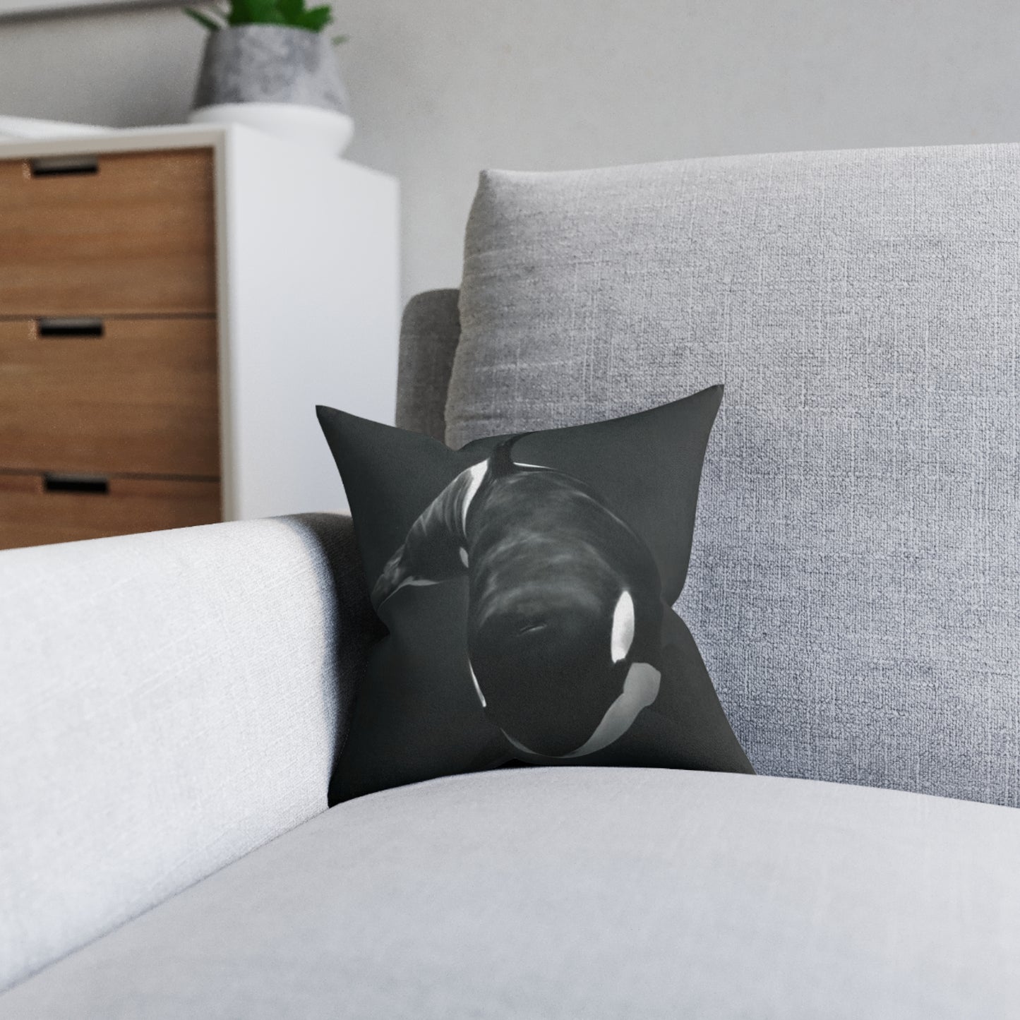 Orca