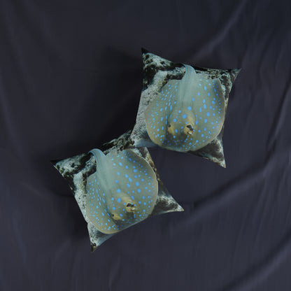 Stingray 2