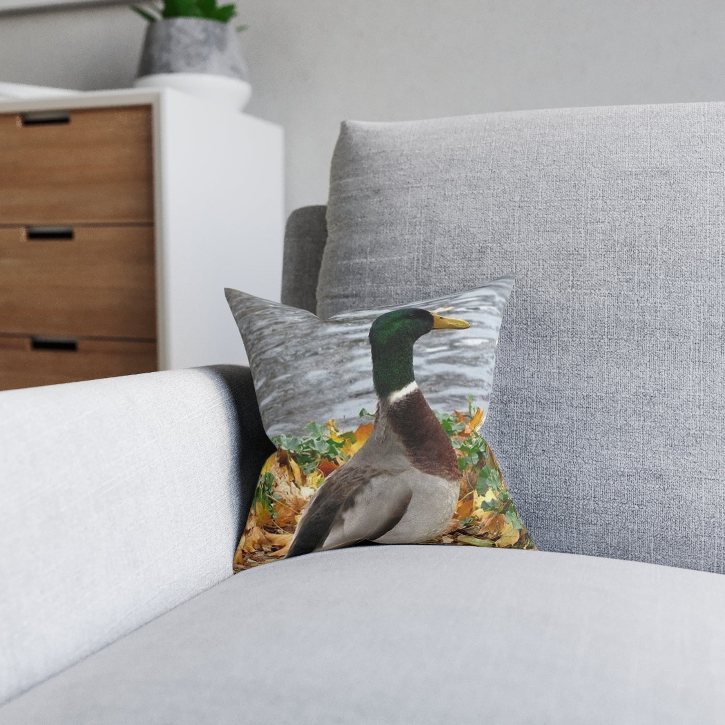 Duck 2